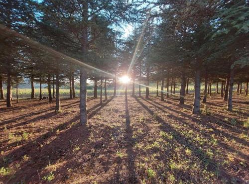 Vue de Rennes-le-Château