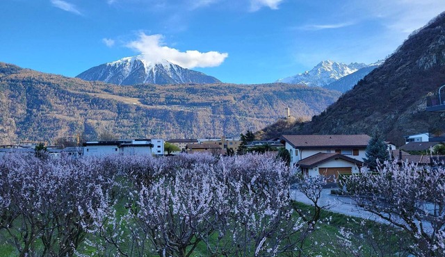Vue Exceptionnelle, bcp de Charme, Situation Idéale, Magnifique Moderne et Neuf