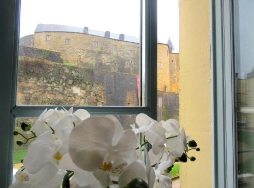 Vue magnifique sur le Château fort, dans le centre historique