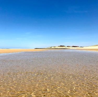 Vue Mer - Au Coeur de Contis Plage