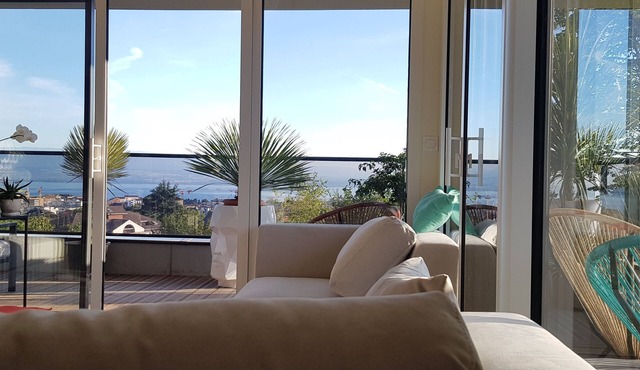 Vue Panoramique Lac et Montagne