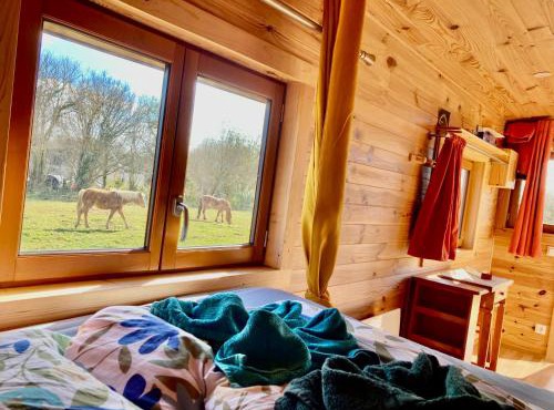 Vue Poneys, 40min Mt St Michel 30min Mer Draps Serviettes Baie Normandie Cottage