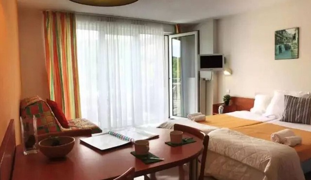 VVF Alsace Orbey Colmar * - 2 Room Apartment 5 People 1 baby