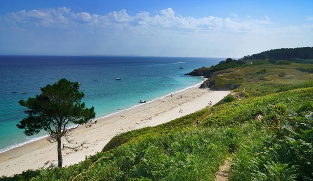 VVF Belle-Île-en-Mer, Le Palais