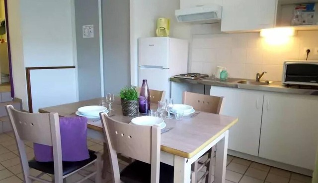 VVF Cantal Salers Vendes *** - 2-room chalet sleeps 4