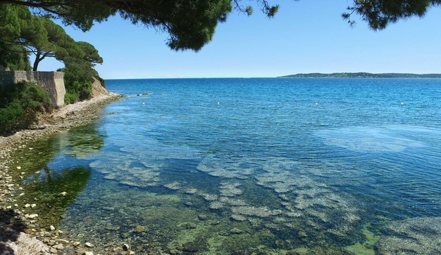 VVF Golfe de Saint-Tropez, Sainte Maxime