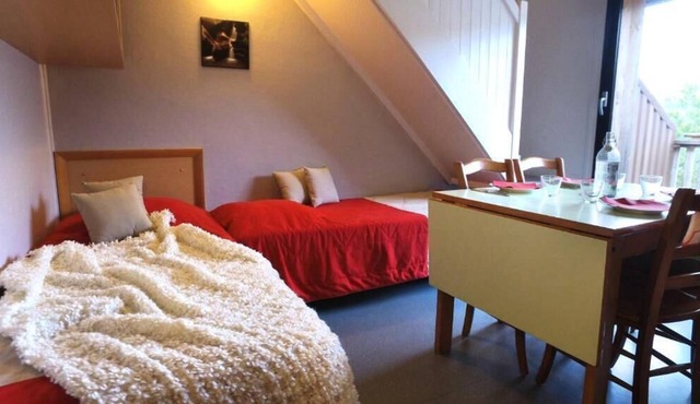 VVF Le Lioran Les Monts du Cantal *** - 3 Rooms 6 People 1 baby