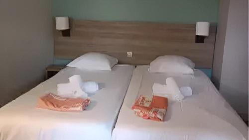 VVF Plaine d'Alsace Obernai Strasbourg