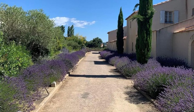 Wake Up In a French Villa Surrounded by a Vineyards and Beautiful Scenery.