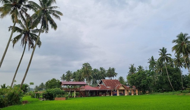 Wafaby Guest House