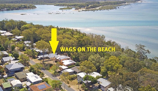 Wags On The Beach - Toogoom - Beachfront- 4BR-Aircon- Pets OK
