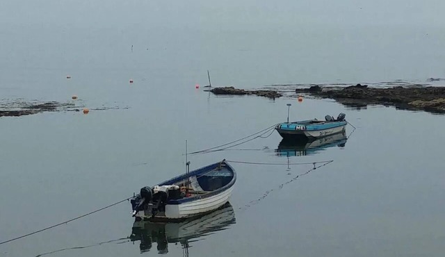 Wagtail Lodge Boutique Country House B&B, Stonehaven