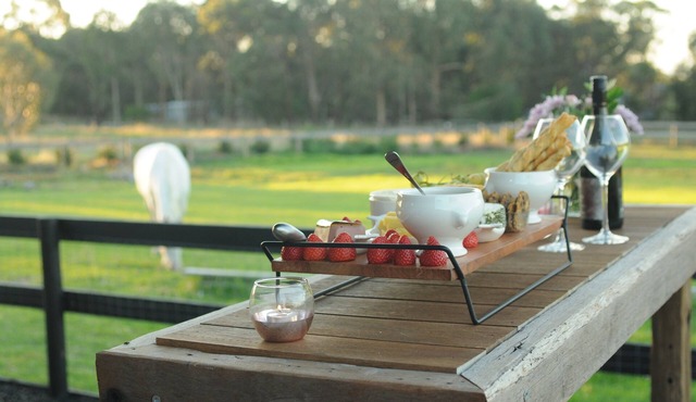 "Wagtail Nest"- Country Charm, Relaxing Retreat!