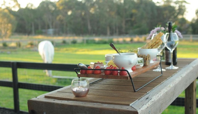 Wagtail Nest Country Retreat - Longford Vic 3851