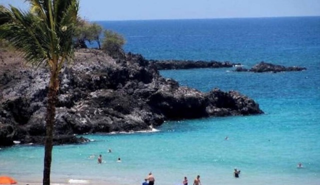 Waimea Honu Hale- Relaxing, Tropical, Country Homenn