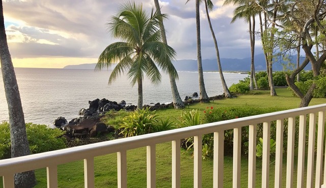"Waimea Vista" Safe From Floods, Not in Evac Zone