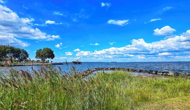 Wake Up to Endless Water Views|Kent Narrows 2 Acre Waterfront Escape. Location!