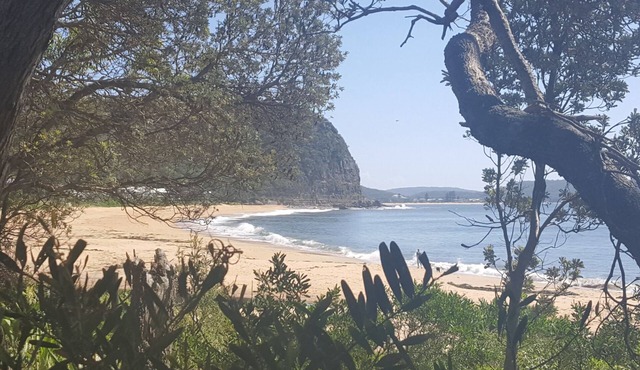 Wake up to the birds, fall asleep to the surf at Umina beach Bungalow