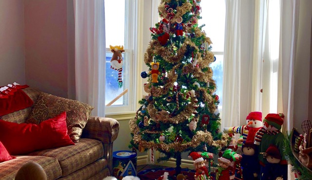 Wake Up With A View Of The Harbor