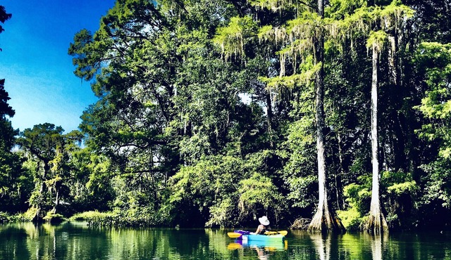 Wakulla River Retreat- Manatee Cottage