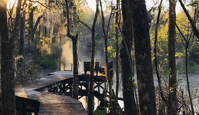 Wakulla River Waterfront Retreat