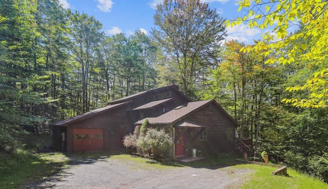 Wald Haus*: 3 BR, 2.5 BA House in Canaan Valley, Sleeps 8