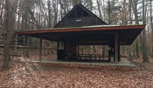 Wald - Rustic Lakeside Cabins half hour to Penn State