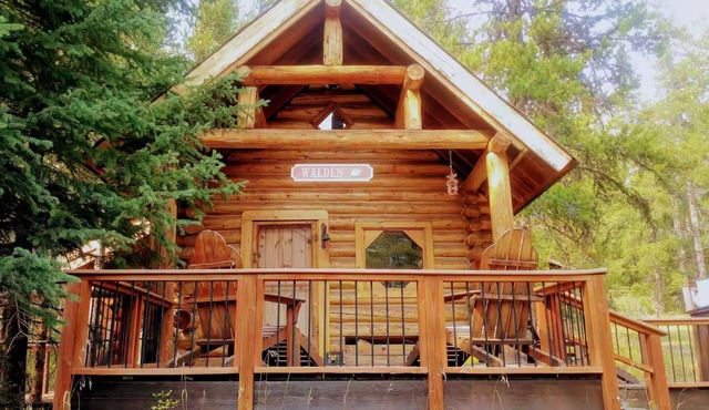 Walden Cabin Yellowstone