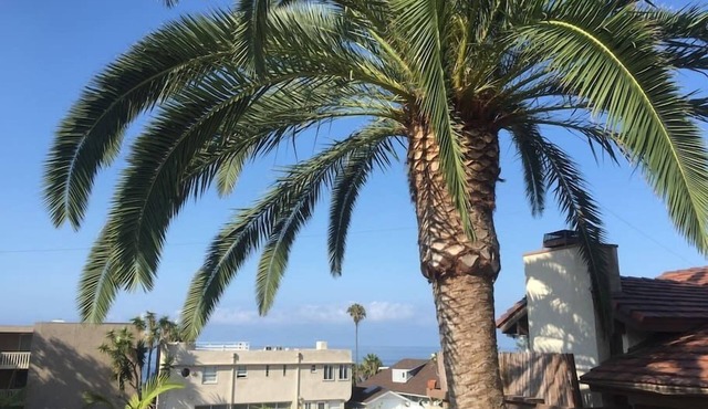 Walk everywhere; Beach 300 steps