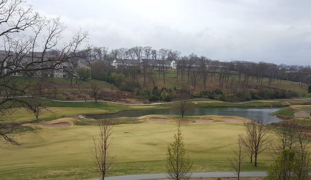 Walk-In Level - Newly Updated - Awesome View - Center Of Town