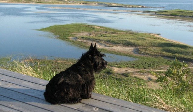 Walk to Bay + Hilltop Bay, Harbor, Marsh Views!