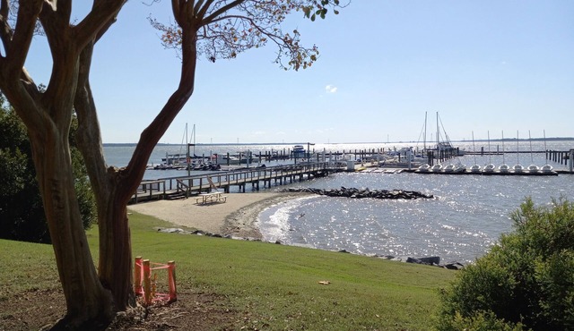 Walk to beach, cozy, lovely room in "Kingsmill on the James"