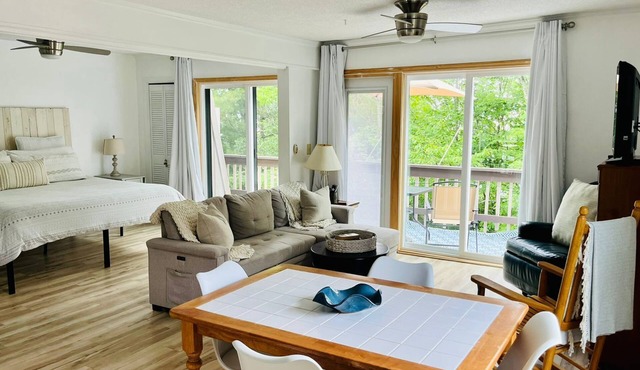 Walk to Beech Mountain Resort, PET Friendly!