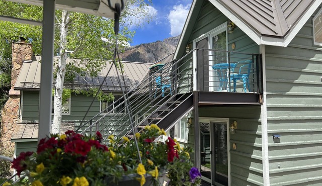 Walk to Everything in Ouray, ideal location! Air conditioner!
