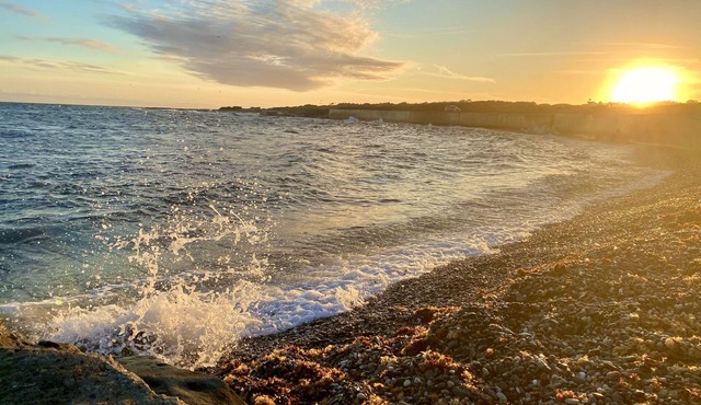 ⚓ WALK TO IT ALL! 🌊Dining, shops, mansions, beaches & parks!