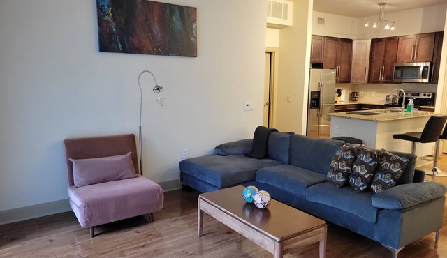 Walk to NRG | Drive to Med Center, 2 bed/2bath w/Courtyard View - King Beds