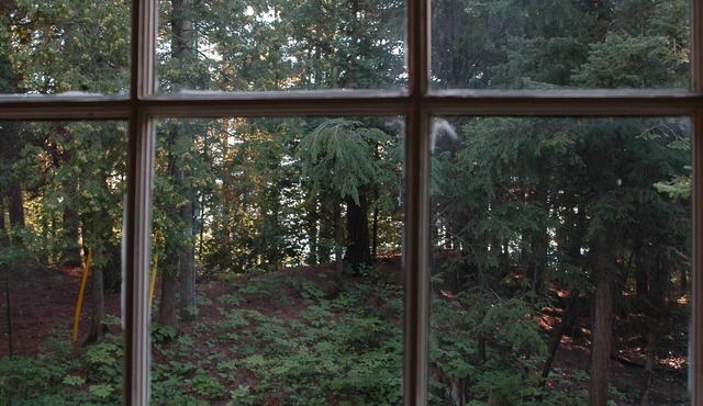 walk to private beach across the street - 2 BR Cabin - amazing sunsets