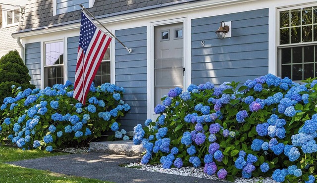 Walk to the Beach - 5BR Falmouth Heights Cape Dream - Pets Welcome