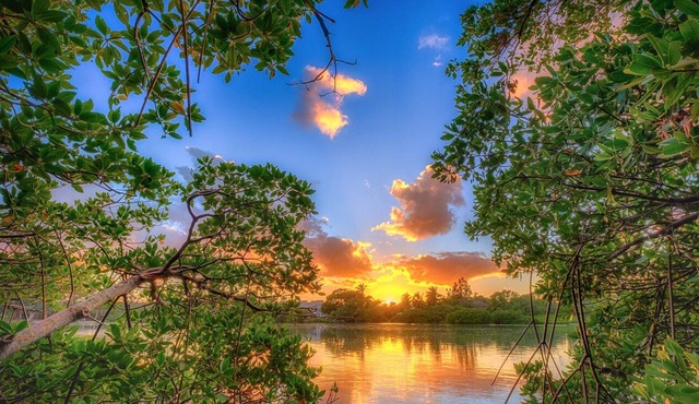 Walk to the beach, shopping, restaurants, and more! ❤️💛💚