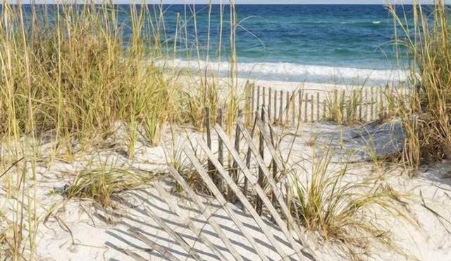 Walk to the Beach and Downtown Restaurants, Bars, and Shops!