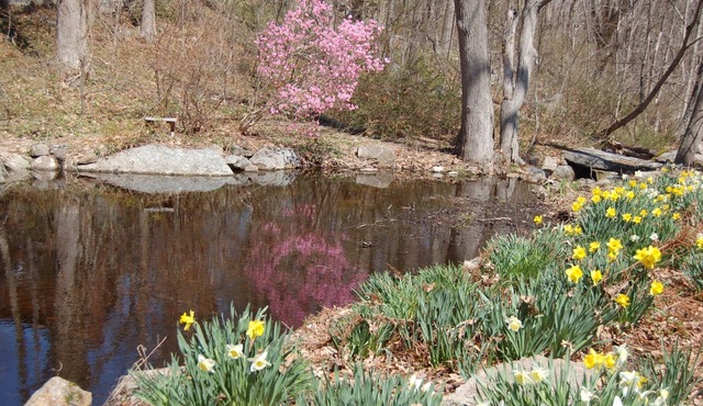 Walk to the ocean, very private. Secluded, woodsy location.