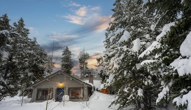 Walk to Yellowstone Log Cabin w/Shop & Hot Tub 8-10 ppl