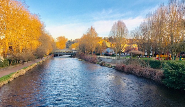 Walkable Cozy Downtown Renton Home - No Cleaning Fee