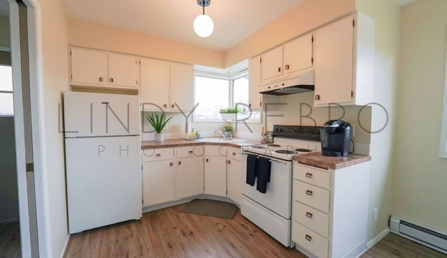 Walkable Downtown Lynden home- Mid Century Modern home w/ Mountain Views