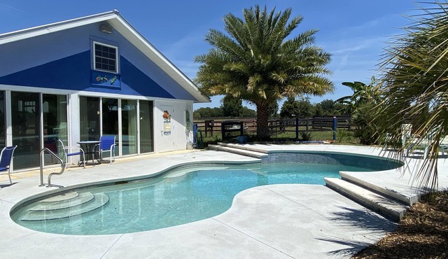 Walkers Heaven Pet friendly Cottage with Pool on Horse Farm, WEC