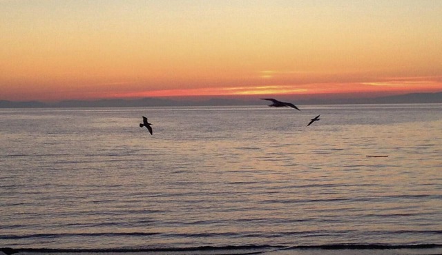 Walking distance to beach, BBH 4827