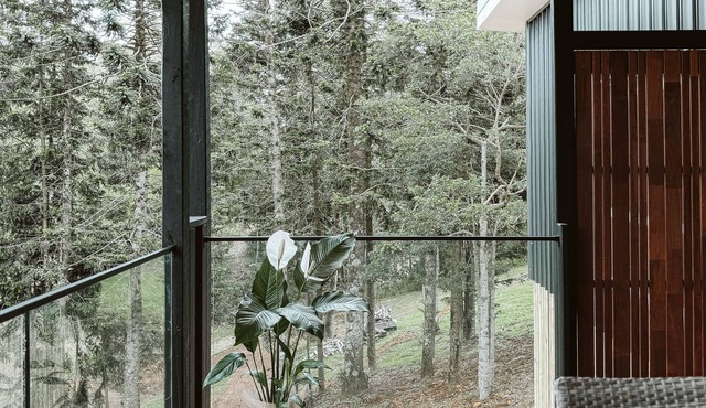 Wallaby 2 Bed, 1 Bath Cottage - Private Parkland Setting with Lake View