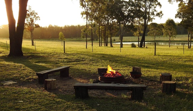 Wallaby Cottage - cute Accom in bushland setting