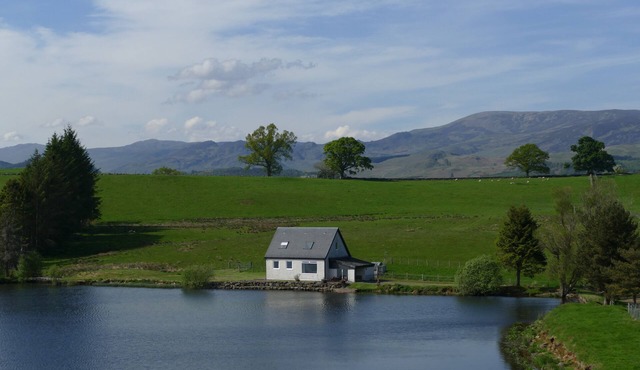 Wallace Lodge - Unique experience