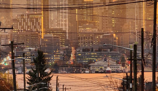 Wallingford 2 BR Comfy Apartment